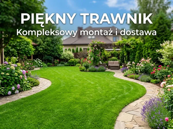 Grafiki na Social Media